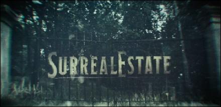 surreal-estate-title (700x340, 36 kБ...)